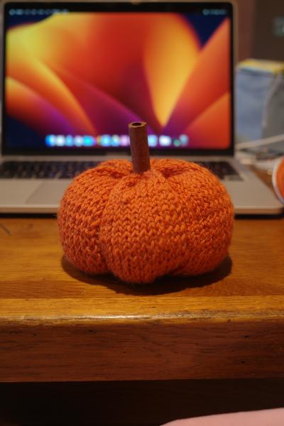 Finished knitted pumpkin with stockinette stitching